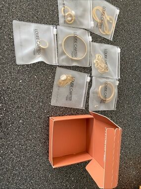 New—- Louise Carter jewelry    In box